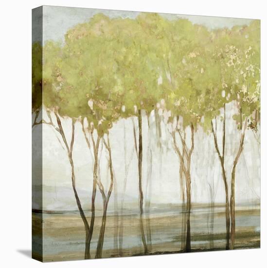 Tall Tree II-Allison Pearce-Stretched Canvas