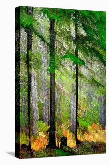 Tall Trees-Ursula Abresch-Premier Image Canvas