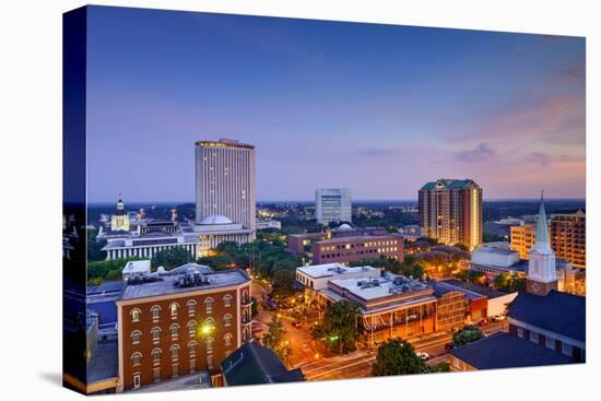 Tallahassee, Florida, USA Downtown Skyline.-SeanPavonePhoto-Premier Image Canvas