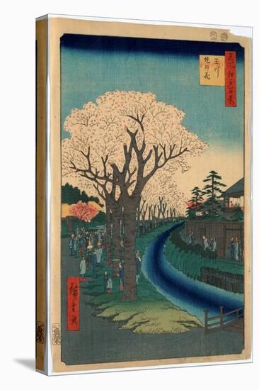 Tamagawa-Zutsumi No Hana-Utagawa Hiroshige-Premier Image Canvas