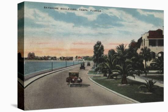 Tampa, Florida - View of Bayshore Blvd-Lantern Press-Stretched Canvas