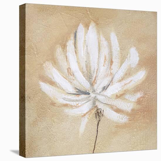 Tan and White-Sarah Parker-Stretched Canvas