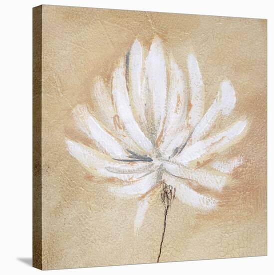 Tan and White-Sarah Parker-Stretched Canvas
