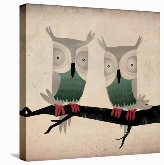 Tan Owls Square-Ryan Fowler-Stretched Canvas