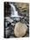 Tangle Falls, Jasper National Park, UNESCO World Heritage Site, Alberta, Canada, North America-James Hager-Premier Image Canvas