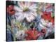 Tangled Garden I-Brent Heighton-Stretched Canvas