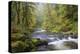 Tanner Creek, Columbia River Gorge, Oregon, USA-Jamie & Judy Wild-Premier Image Canvas