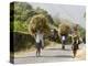 Tansporting Animal Feed, Near Sao Jorge Dos Orgaos Botanical Garden, Santiago, Cape Verde Islands-R H Productions-Premier Image Canvas