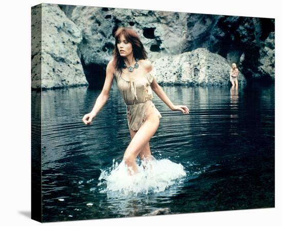 Tanya Roberts, The Beastmaster (1982)-null-Stretched Canvas