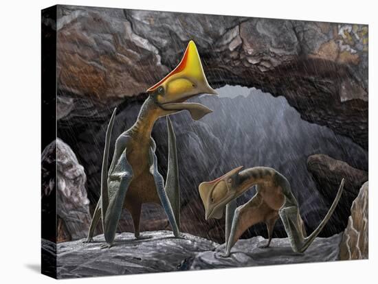 Tapejara Wellnhoferi Pterosaurs Seek Shelter Inside a Cave from a Rain Storm-null-Stretched Canvas