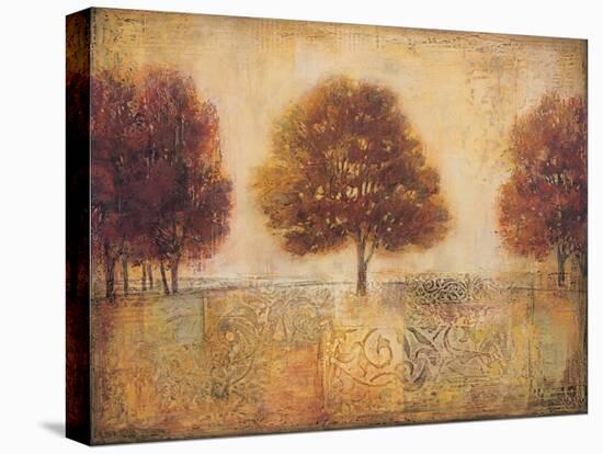 Tapestry Fields I-Ivo-Stretched Canvas