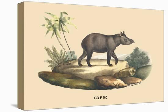 Tapir-E.f. Noel-Stretched Canvas