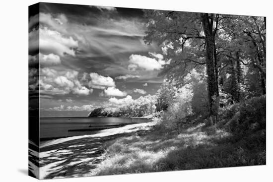 Tappahannock Shores II-Alan Hausenflock-Stretched Canvas