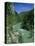 Tara Canyon and Tara River, Tramontana, Montenegro, Europe-Stuart Black-Premier Image Canvas