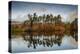 Tarn Hows at sunrise, Lake District National Park, UNESCO World Heritage Site, Cumbria-Ian Egner-Premier Image Canvas