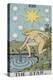 Tarot Card With a Nude Woman by a Lake With Vessels Of Water. Stars Shine Overhead-Arthur Edward Waite-Premier Image Canvas