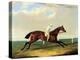 'tarrare' Ridden by George Nelson-John Frederick Herring I-Premier Image Canvas