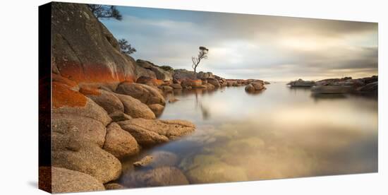 Tasmania, Australia. Binalong Bay, Bay of Fires at Sunrise-Matteo Colombo-Premier Image Canvas