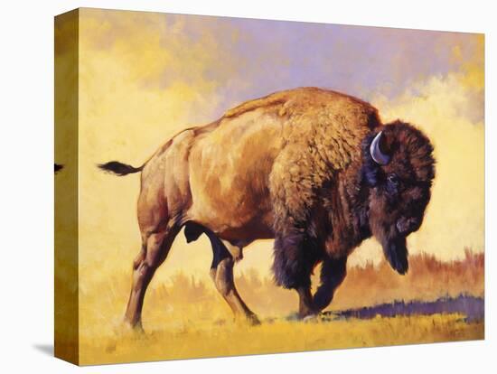 Tatanka-Julie Chapman-Stretched Canvas