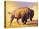 Tatanka-Julie Chapman-Stretched Canvas