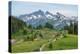 Tatoosh Range and Skyline Trail, Mount Rainier National Park, Washington State-Alan Majchrowicz-Premier Image Canvas
