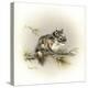 Tattle-Tail Baby-Peggy Harris-Premier Image Canvas