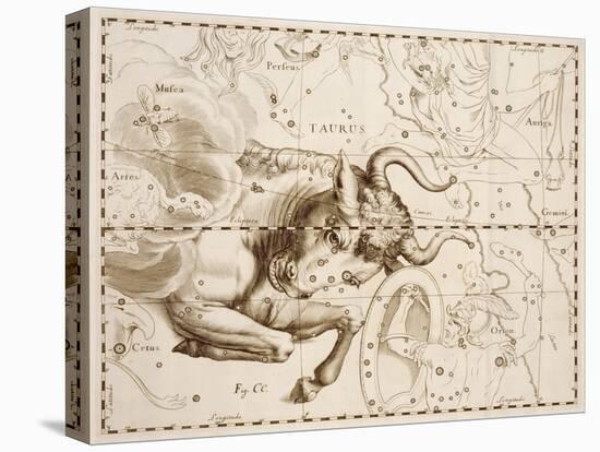 Taurus (Zodiac Sign)-Johannes Hevelius-Premier Image Canvas