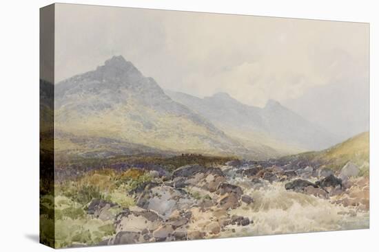 Tavy Cleave, Dartmoor , C.1895-96-Frederick John Widgery-Premier Image Canvas