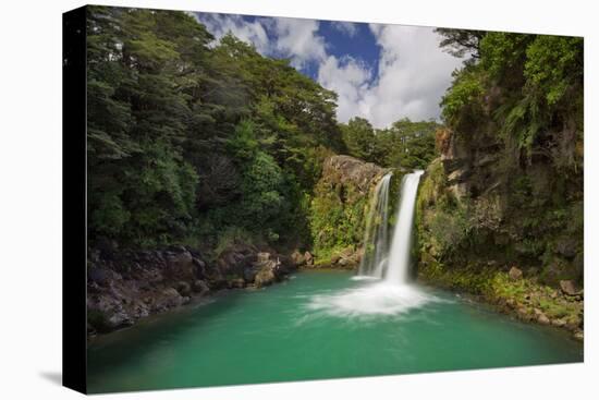 Tawhai Falls, Tongariro National Park, Manawatu-Manganui, North Island, New Zealand-Rainer Mirau-Premier Image Canvas