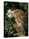 Tawny Owl with Full Moon and Holly-null-Premier Image Canvas