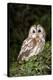 Tawny Owl-Colin Varndell-Premier Image Canvas