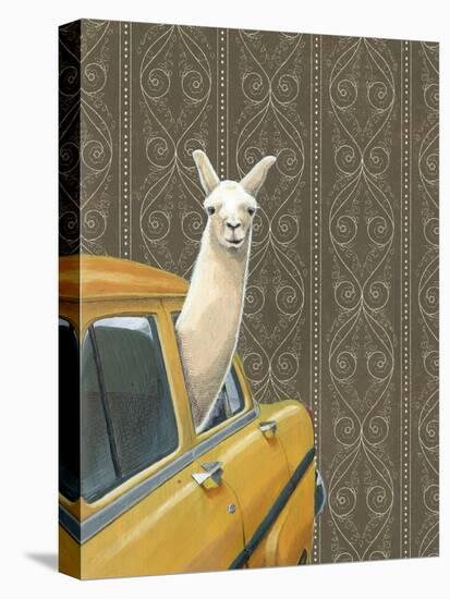 Taxi Llama-Jason Ratliff-Premier Image Canvas