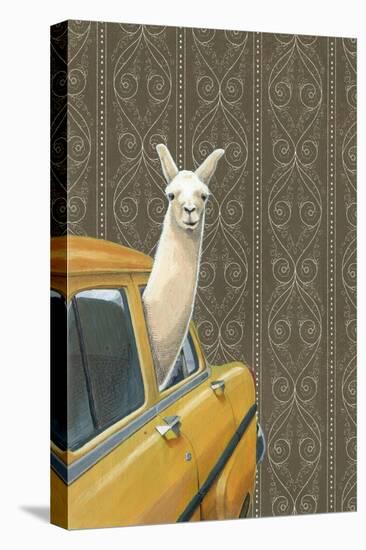 Taxi Llama-Jason Ratliff-Premier Image Canvas