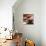 Tazze con Cappuccino-Federico Landi-Stretched Canvas displayed on a wall