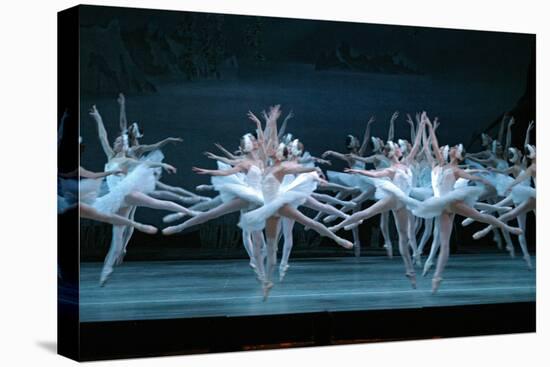 Tchaikovsky's Swan Lake, Mariinsky Theatre, St. Petersburg, 2004-null-Premier Image Canvas