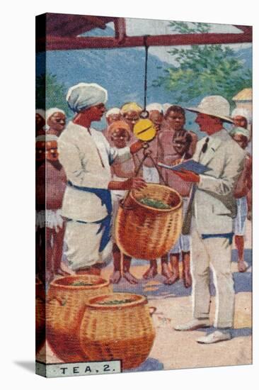'Tea, 2. - Weighing the Pickings, Ceylon', 1928-Unknown-Premier Image Canvas