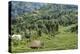 Tea Fields in Rize, Black Sea Region of Turkey-Ali Kabas-Premier Image Canvas