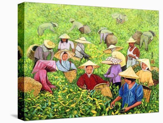 Tea Picking Girl, 1994-Komi Chen-Premier Image Canvas