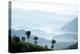 Tea Plantations Near Munnar, Kerala, India, South Asia-Ben Pipe-Premier Image Canvas