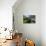 Tea Plantations, Vagamon, Kerala, India, Asia-Balan Madhavan-Premier Image Canvas displayed on a wall