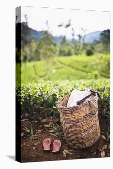 Tea Pluckers Basket and Shoes at a Tea Plantation-Matthew Williams-Ellis-Premier Image Canvas