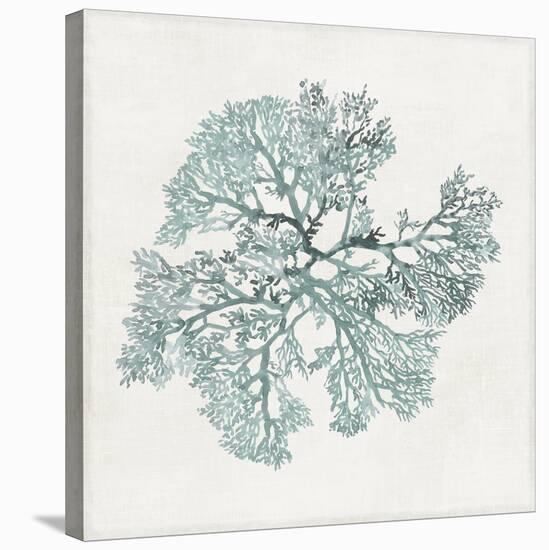 Teal Coral II-Aimee Wilson-Stretched Canvas