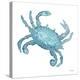 Teal Crab-Patti Bishop-Stretched Canvas