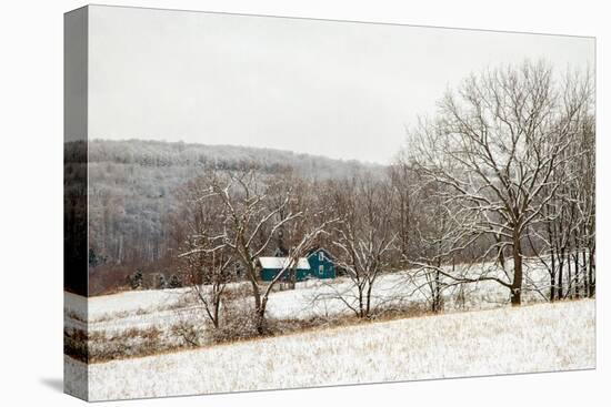 Teal Farmhouse-Brooke T. Ryan-Premier Image Canvas