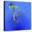 Teal Jellyfish Illustration-Stocktrek Images-Stretched Canvas