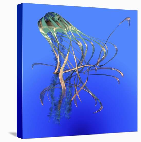 Teal Jellyfish Illustration-Stocktrek Images-Stretched Canvas