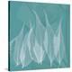 Teal Leaf Xray-Albert Koetsier-Stretched Canvas