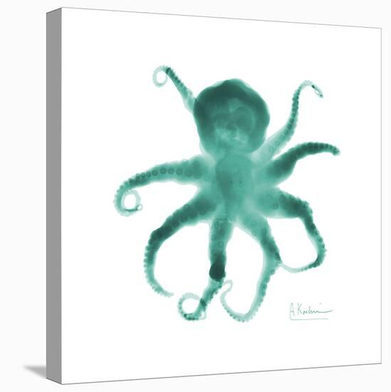 Teal Octopus-Albert Koetsier-Stretched Canvas