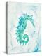 Teal Seahorse-Ajoya Grace-Stretched Canvas
