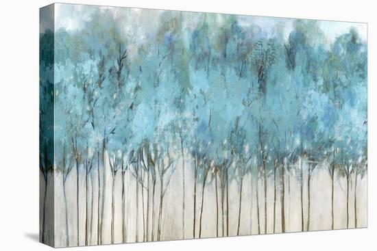 Teal Whisper-Allison Pearce-Stretched Canvas